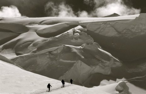 Person Holding Stick In Grayscale Photography