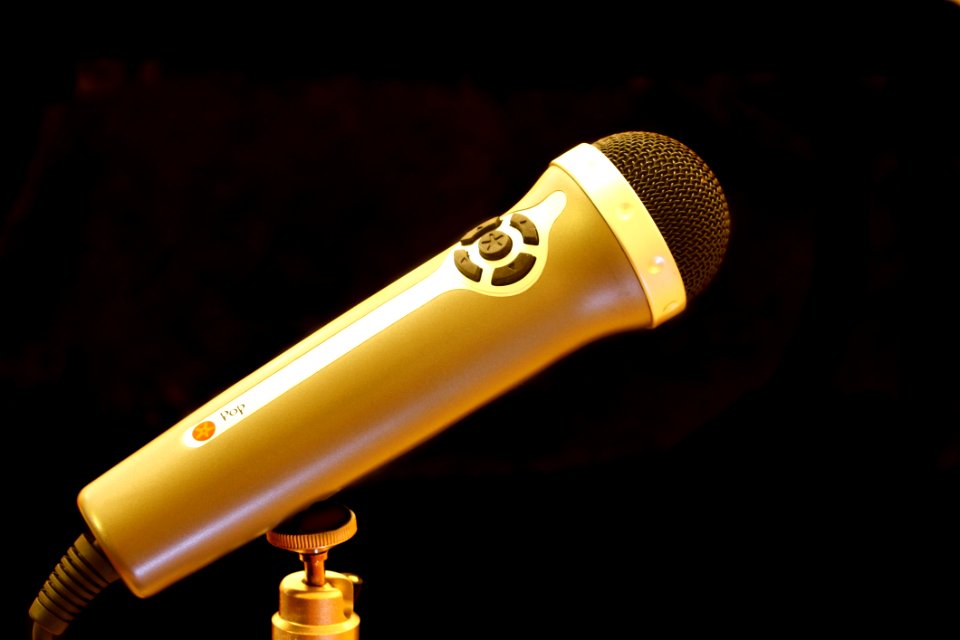 Brown And Silver Microphone
