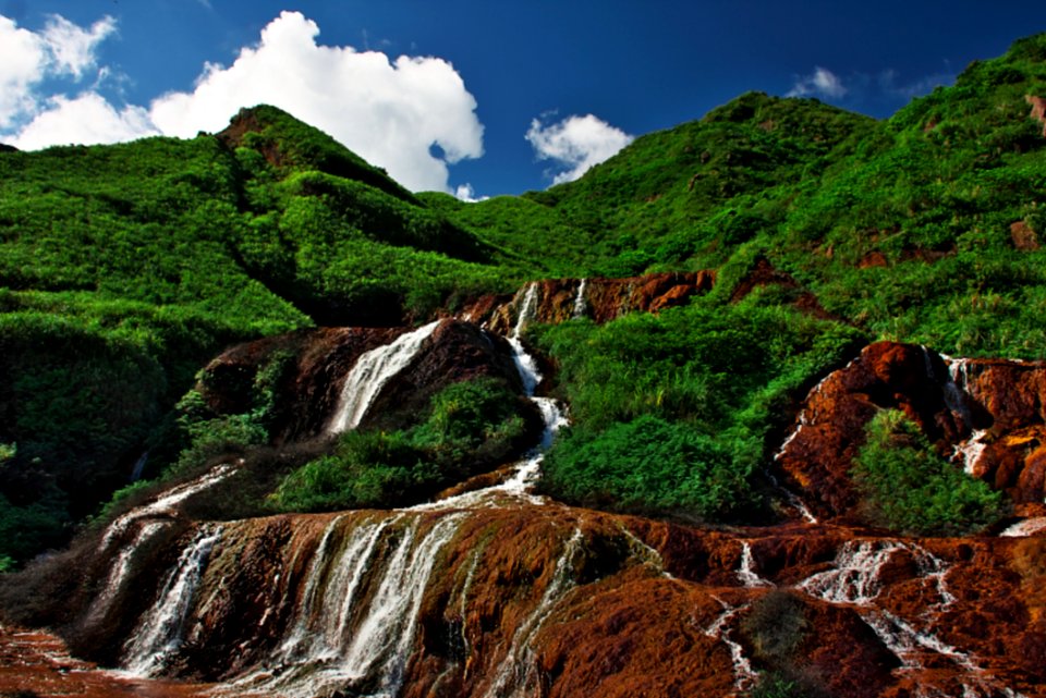 Mountain Covered With Trees