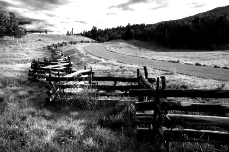 Greyscale Photo Of Wooden Fence Near Road photo