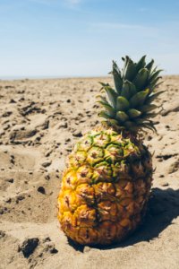 Arid Beach Beachlife