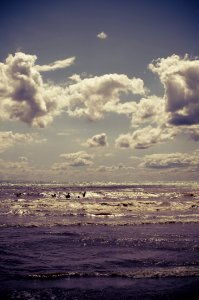 Beach Clouds Daylight