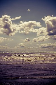 Beach Clouds Daylight photo