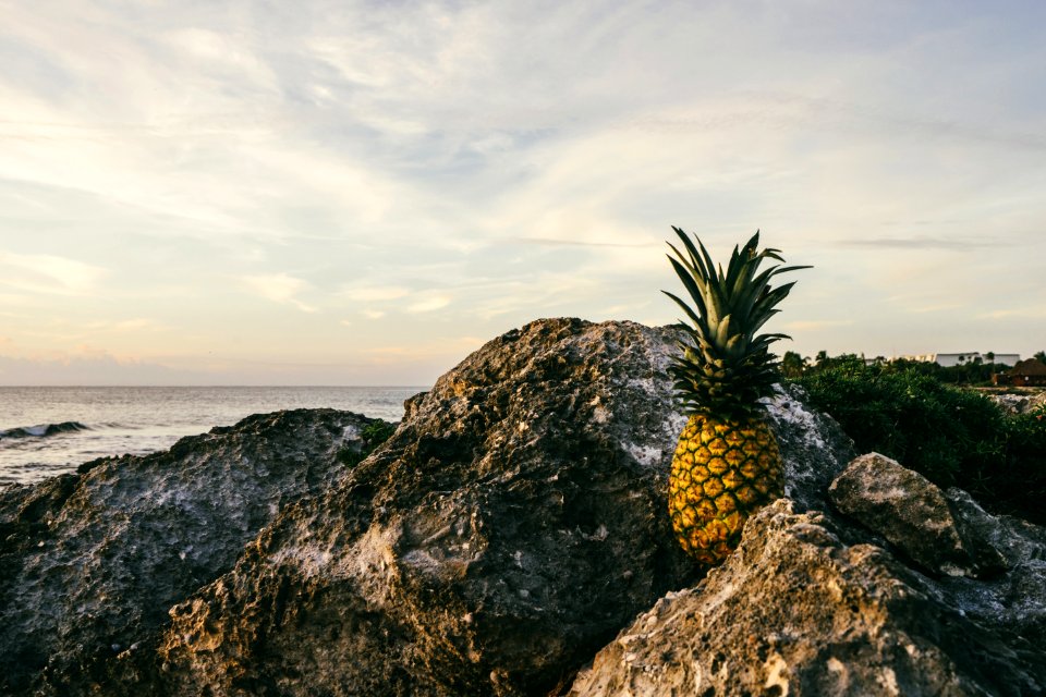 Beach Clouds Fruit
