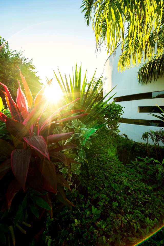 Close-up Daylight Environment