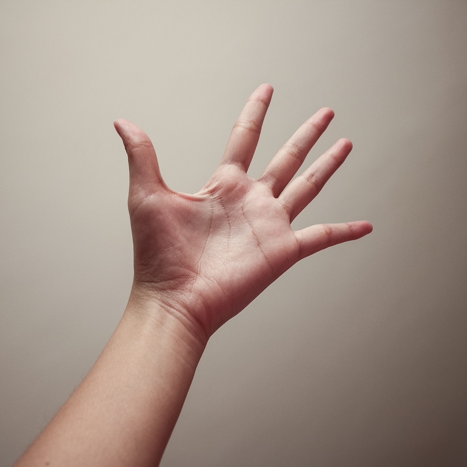 Photography palm finger