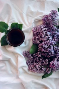 Blanket Bouquet Close-up