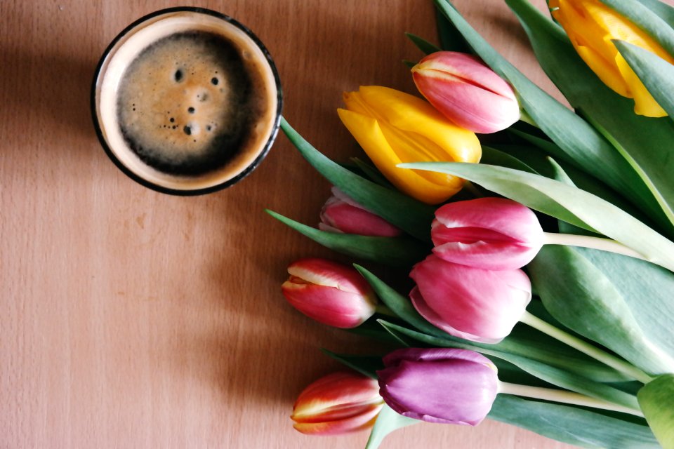 Bright Caffeine Coffee