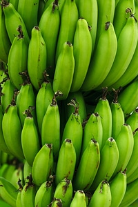 Food pattern wallpaper