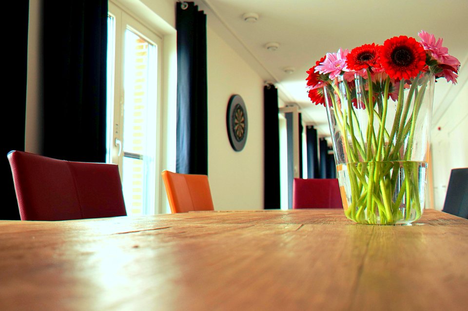 Apartment Architecture Chairs