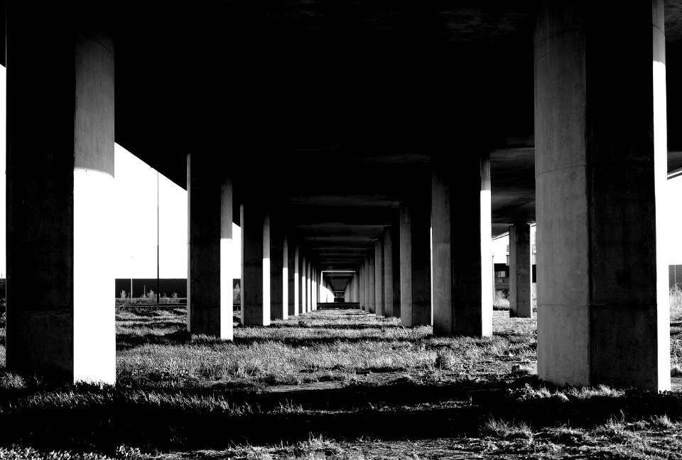 Grayscale Photo Under The Bridge Stand