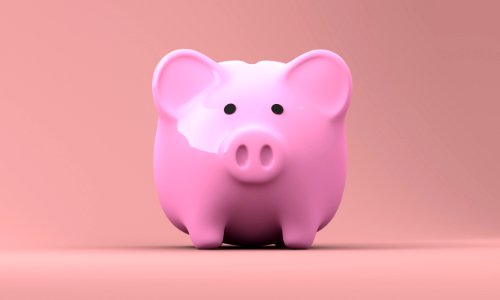 Pink Piggy Bank Close Up Snout
