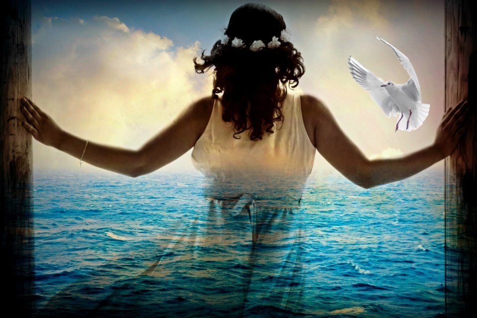 Water Sea Sky Ocean