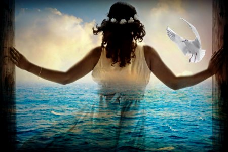 Water Sea Sky Ocean