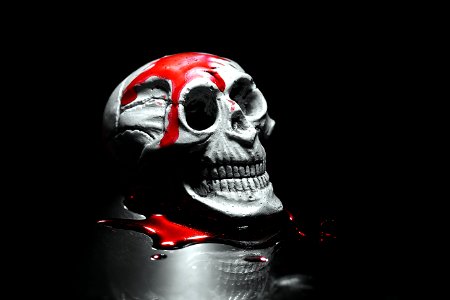 Skull Bone Personal Protective Equipment Protective Gear In Sports