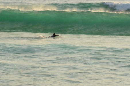 Wave Surfing Equipment And Supplies Wind Wave Sea photo