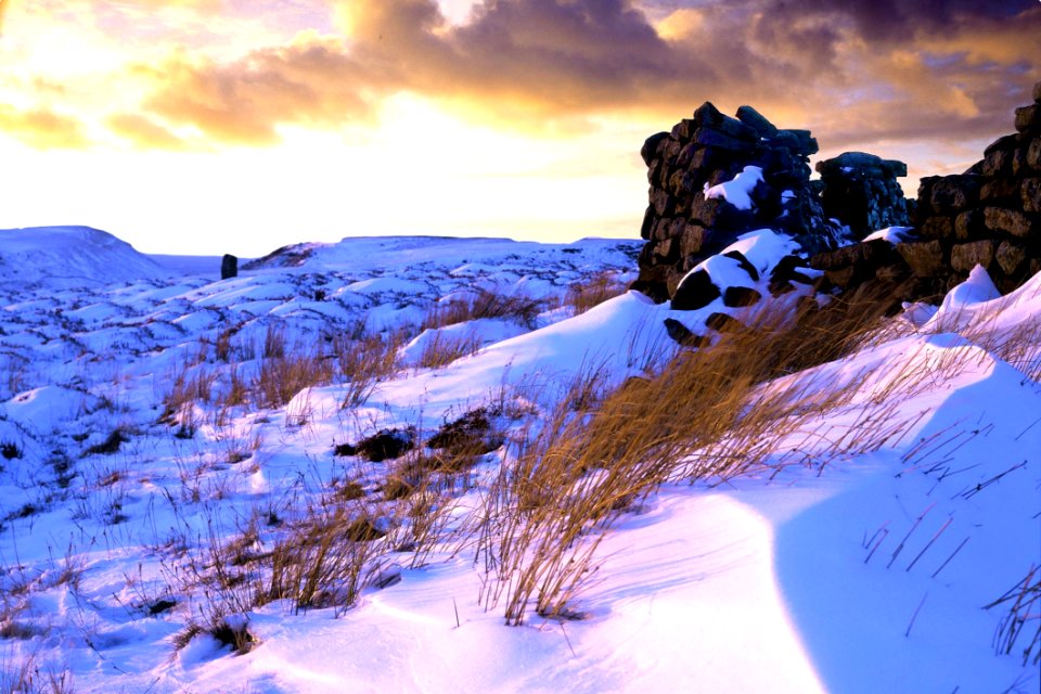 Winter Snow Sky Wilderness photo