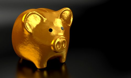Gold Close Up Metal Piggy Bank