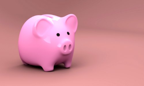 Pink Piggy Bank Saving Snout photo