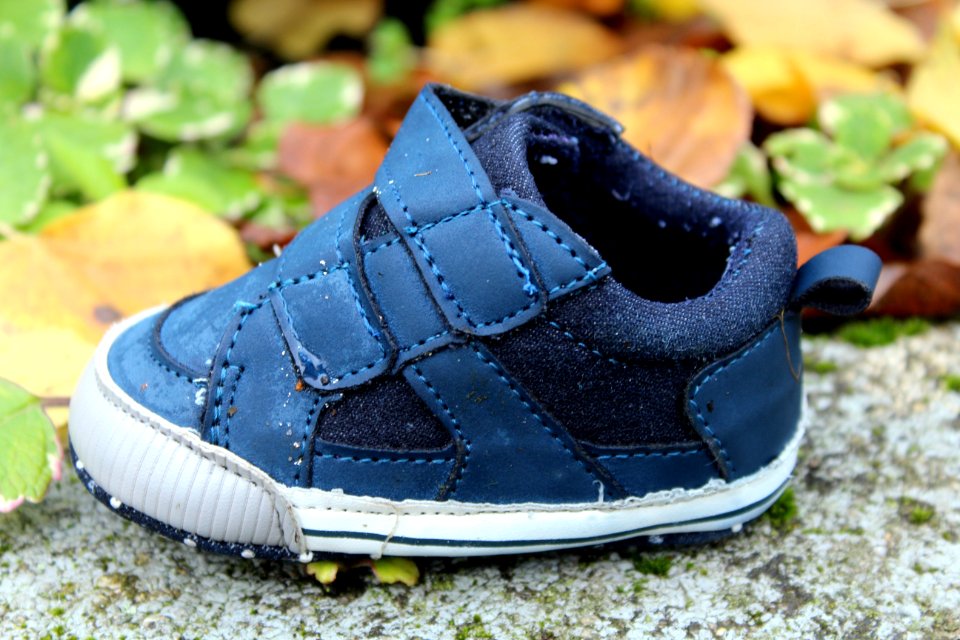 Footwear Blue Shoe Product