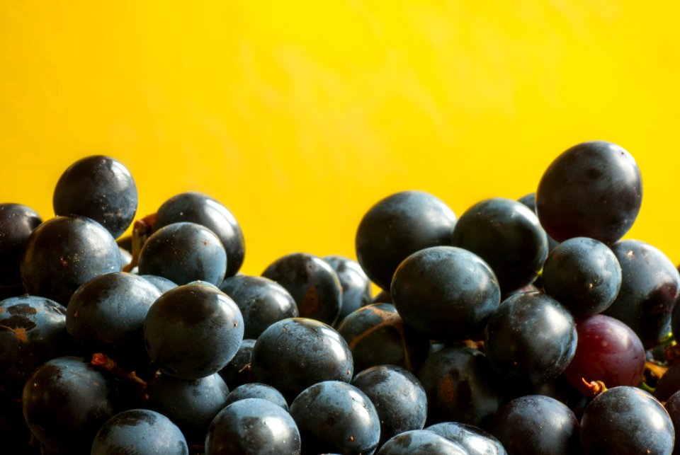 Fruit Produce Grape Grapevine Family