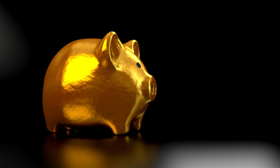 Close Up Snout Still Life Photography Rat
