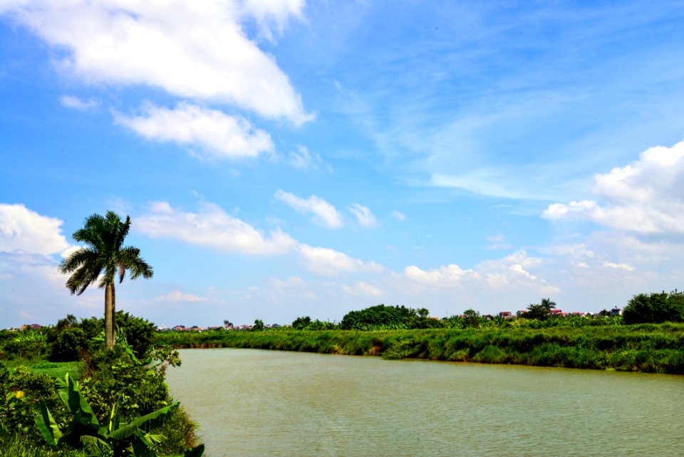 Sky Waterway Vegetation Cloud