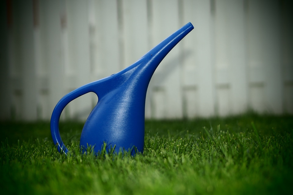 Blue summer beautiful