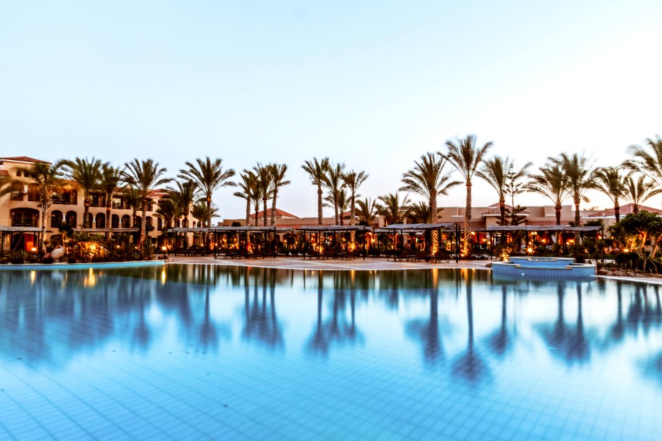 In-ground Swimming Pool Near Palm Trees