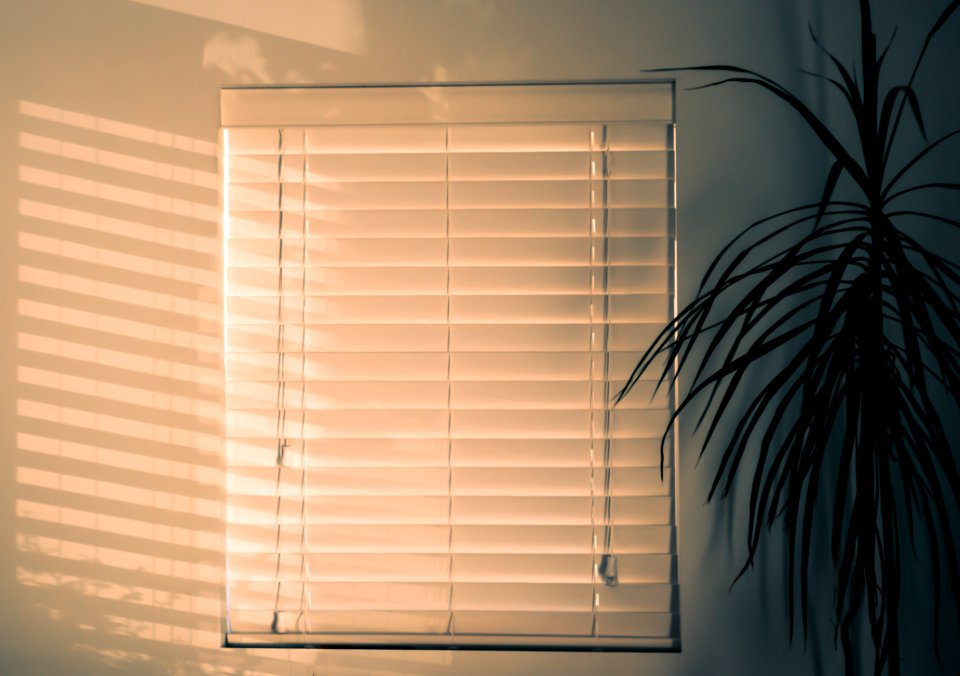 Photo Of Window Blinds Near Plant
