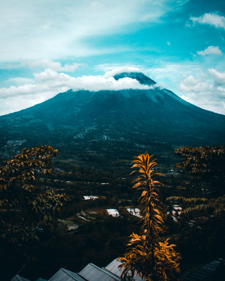 Mountains And Trees