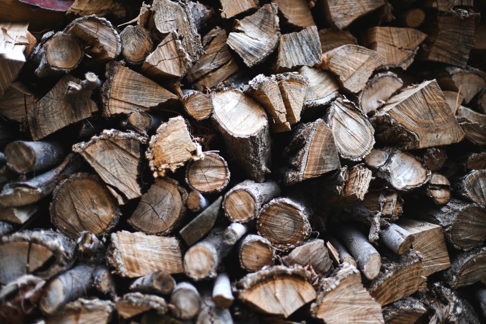 Pile Of Chopped Logs