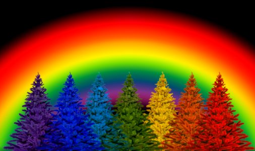 Rainbow Sky Tree Fir