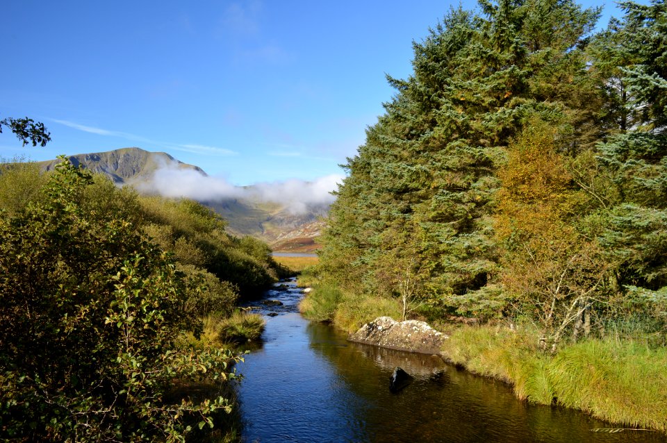 Nature Water Wilderness Nature Reserve