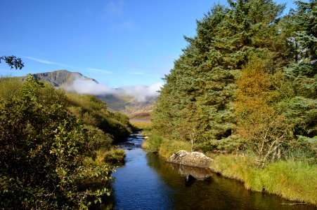 Nature Water Wilderness Nature Reserve