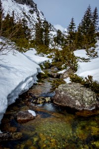 Snow Water Winter Nature photo