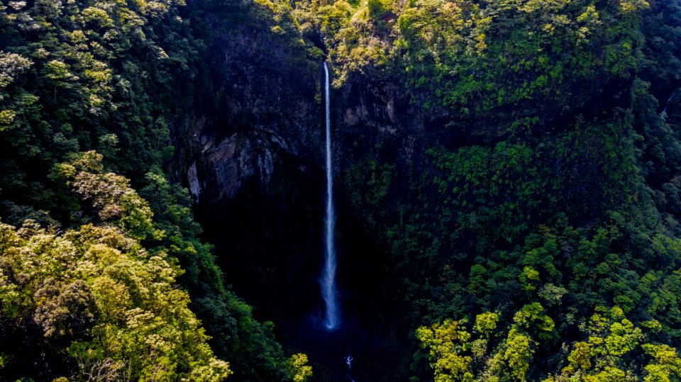 Waterfall Surrounded By Green Leaf Trees At Daytime photo