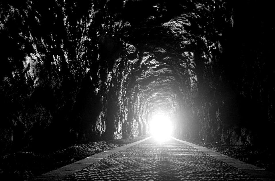 Black Nature Black And White Monochrome Photography
