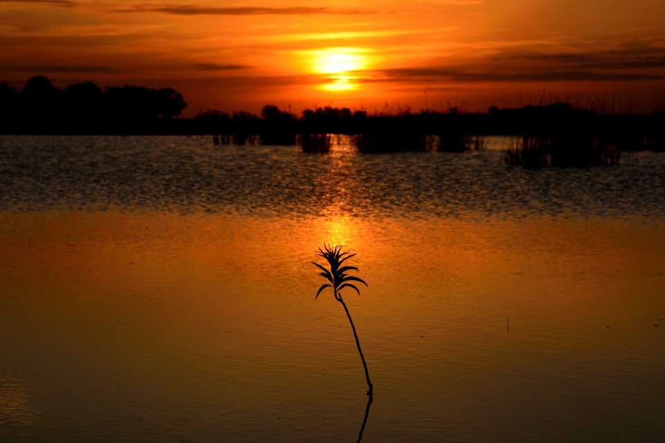 Reflection Sunset Sky Sunrise