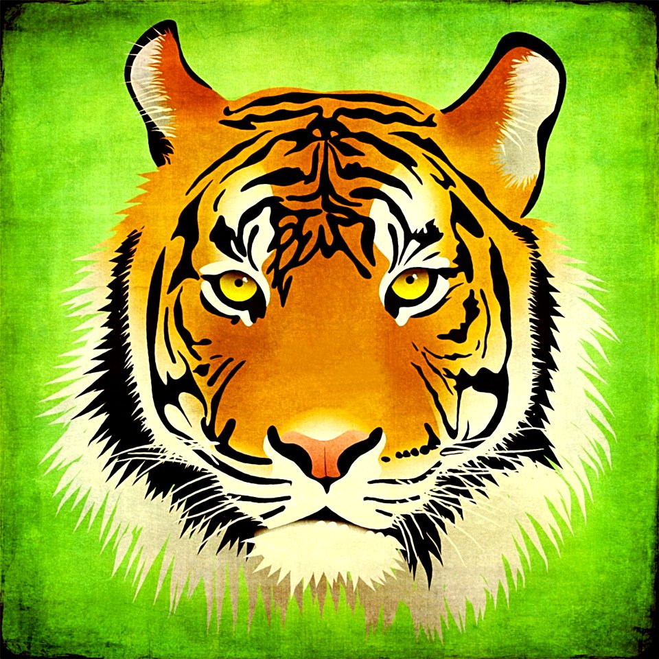 Tiger Mammal Fauna Cat Like Mammal