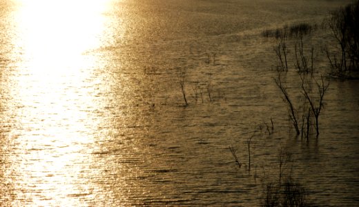Water Reflection Sky Sunlight