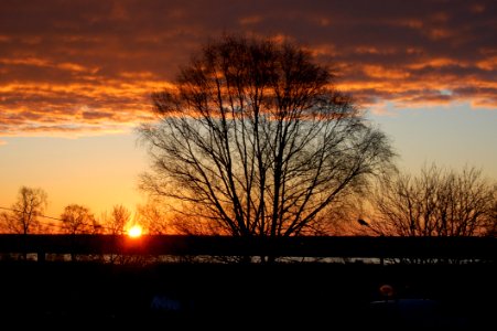 Sky Sunset Dawn Tree photo