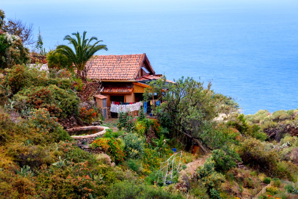 Vegetation Property Coast Real Estate