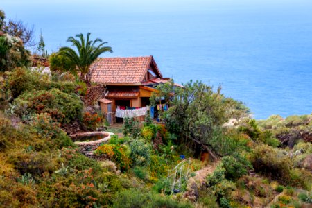 Vegetation Property Coast Real Estate
