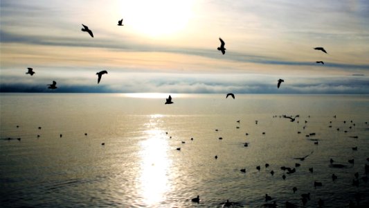 Sky Sea Horizon Water