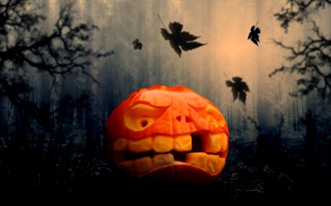 Halloween Pumpkin Calabaza Jack O Lantern photo