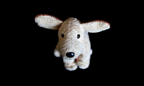 Stuffed Toy Snout Fur