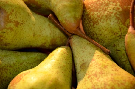 Pear Fruit Produce Food photo