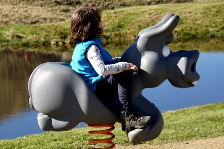 Mammal Vertebrate Grass Inflatable photo