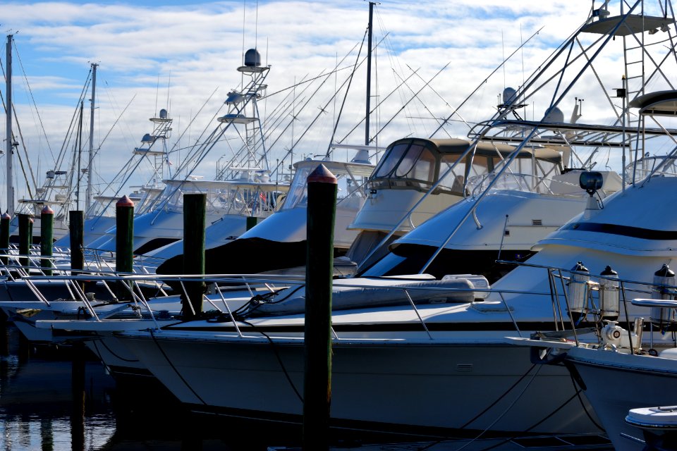 Marina Boat Water Dock photo